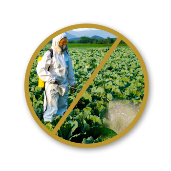 Anti-pesticide image