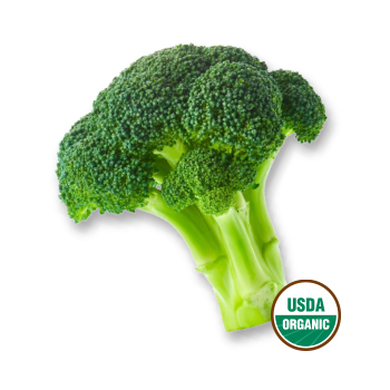 Image of organic broccoli