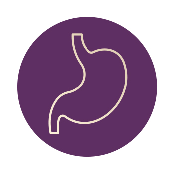 Illustration of a stomach organ