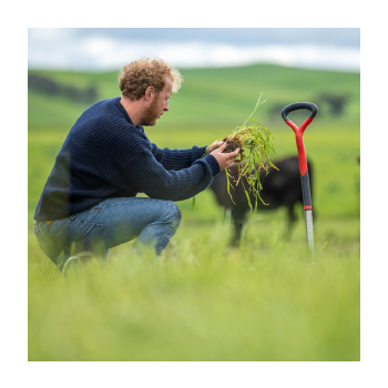 Image of a person in a field