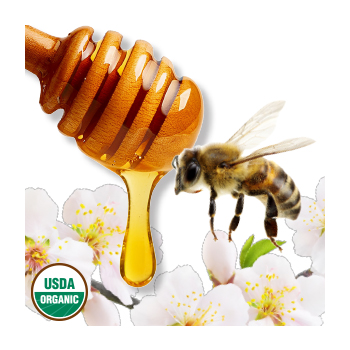 Image of a honey spoon, bee, and flower