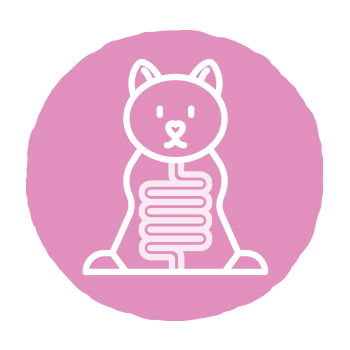 Probiotics Provide Your Pet a Foundation for Good Health