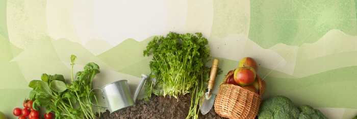 Fruits and Veggies with soil