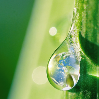 Raindrop with the sky in the reflection