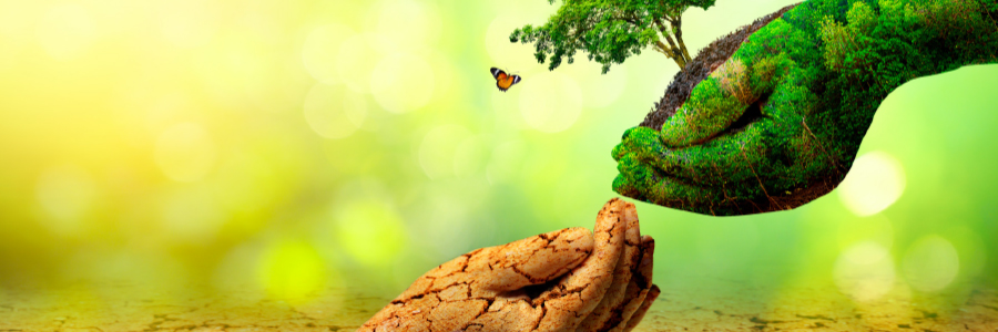 Image of two hands covered in nature