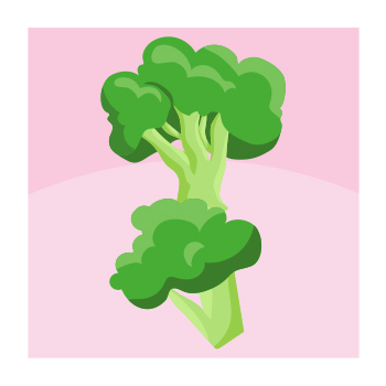 Illustration of broccoli