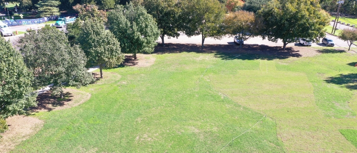 Beyond Pesticides Zilker Metropolitan Park - Rugby Field - Austin, TX