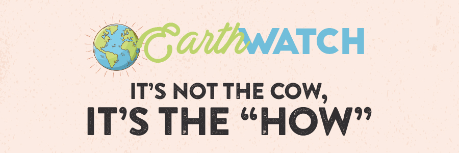 November Earth Watch Image