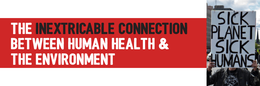 Health and the Enviroment Connection