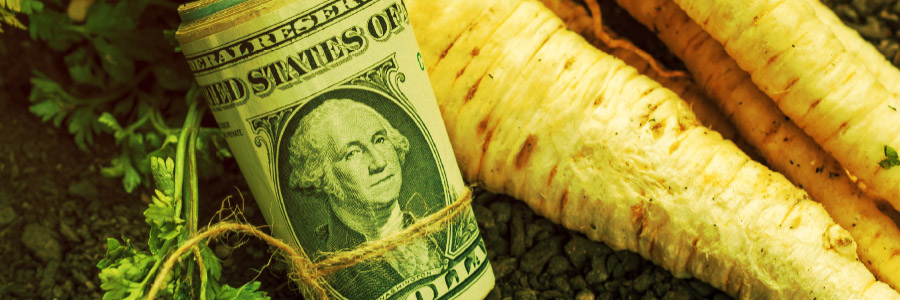 Hidden Costs of Conventional Agriculture_Featured Image 1