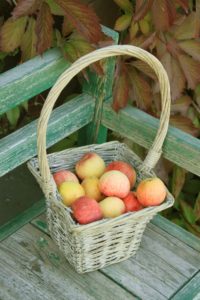 blog_apples