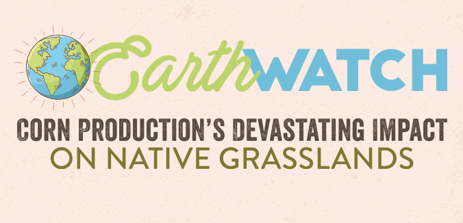 Earth Watch: Corn Production’s Devastating Impact on Native Grasslands