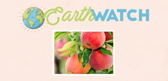 Earth Watch: Organic Farming Improves Soil Health, Biodiversity & Community Profitability