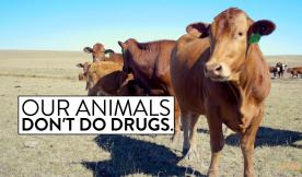 100% Humanely Raised &amp; Sustainably Farmed Meats