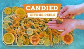 Candied Citrus Peel